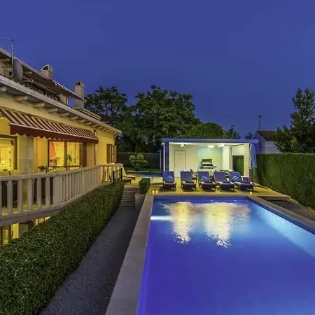 Rosa Vila