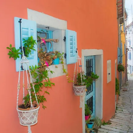 Rosa Apartment