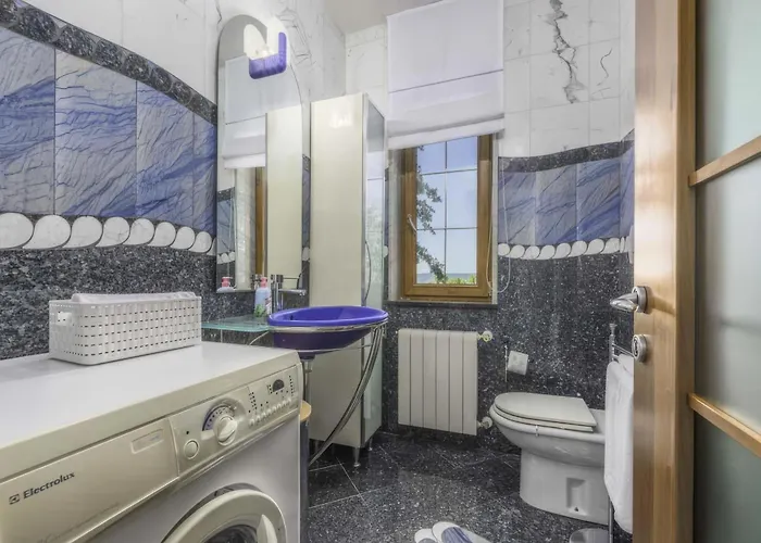 Rosa * Labin (Istria)