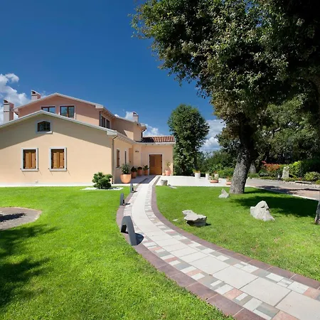 Rosa * Labin (Istria)